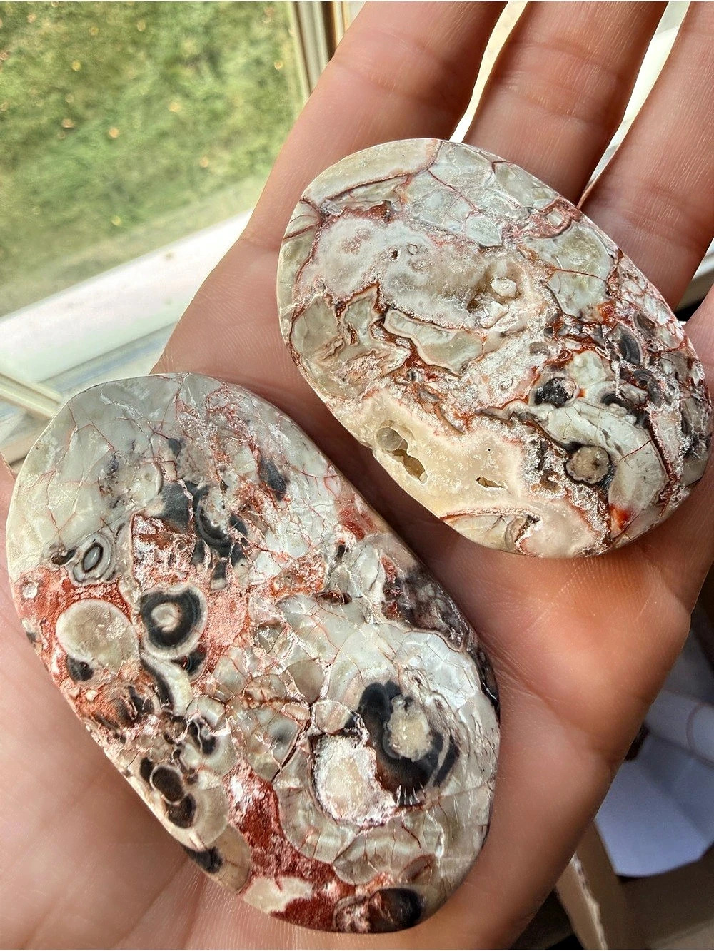 Money Agate Palm Stones